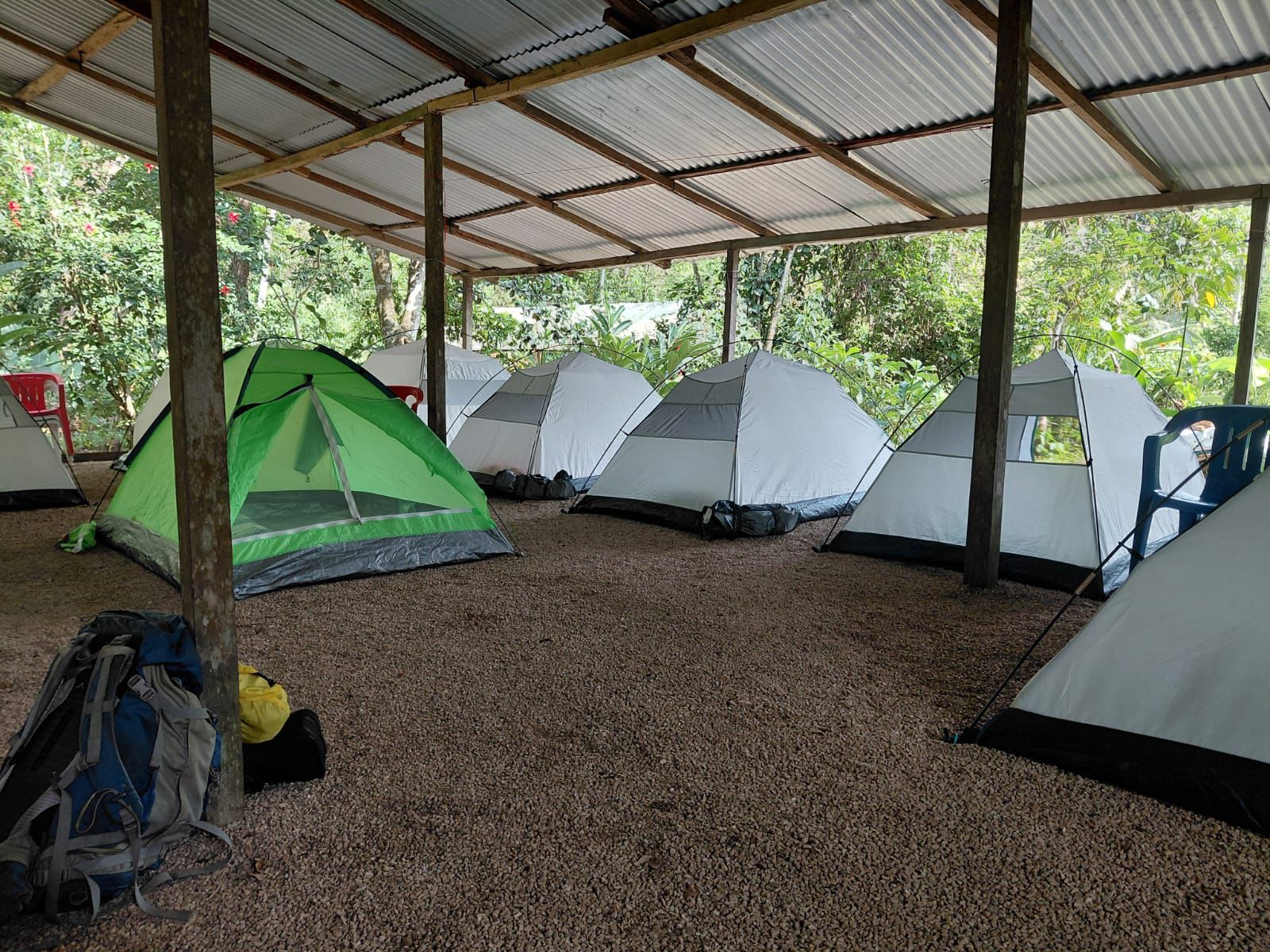 Campamento en la selva para grupos de hasta 50 personas — La Ventana Palenque