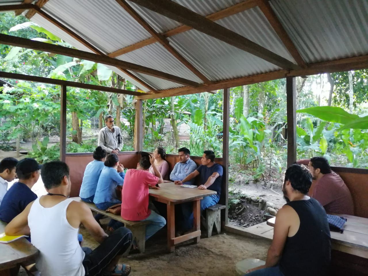 Curso de meliponicultura — Escuela Tonantzin, Palenque, Chiapas