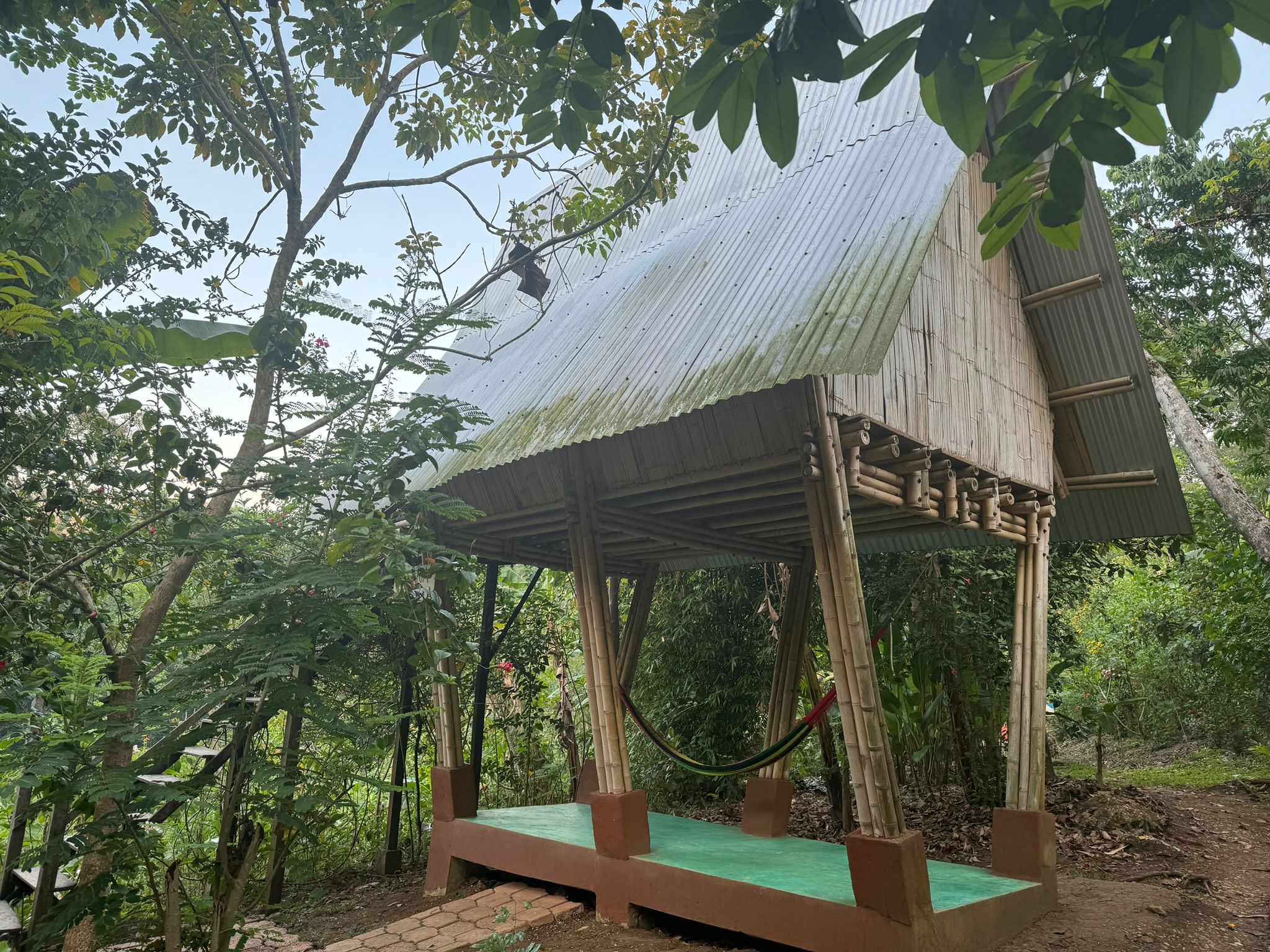 Hospédate en la Selva Maya — cabañas y campamento ecológico, La Ventana Palenque